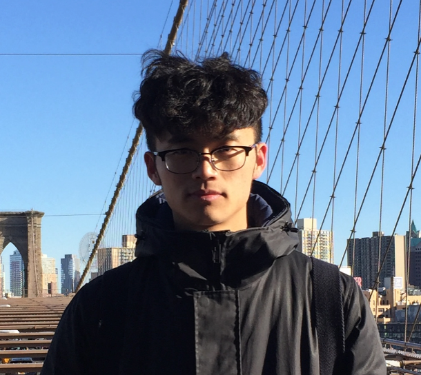 杨涛博士